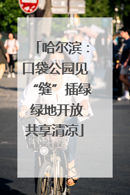 哈尔滨：口袋公园见“缝”插绿 绿地开放共享清凉
