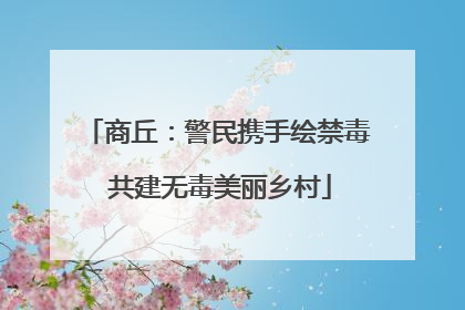 商丘：警民携手绘禁毒 共建无毒美丽乡村