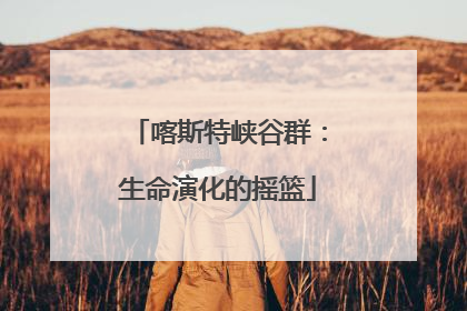 喀斯特峡谷群：生命演化的摇篮