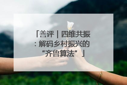 善评｜四维共振：解码乡村振兴的“齐鲁算法”