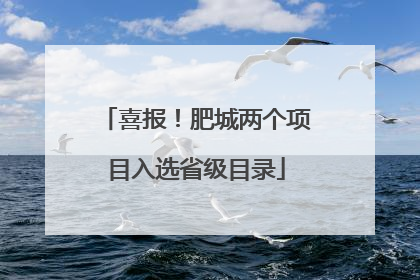 喜报！肥城两个项目入选省级目录