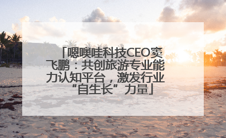 嗯噢哇科技CEO窦飞鹏：共创旅游专业能力认知平台，激发行业“自生长”力量