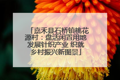 嘉禾县石桥镇桃花源村：盘活闲置用地发展针织产业 织就乡村振兴新图景