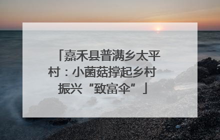 嘉禾县普满乡太平村：小菌菇撑起乡村振兴“致富伞”