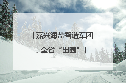 嘉兴海盐智造军团，全省“出圈”