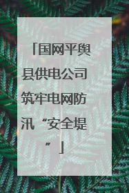 国网平舆县供电公司筑牢电网防汛“安全堤”