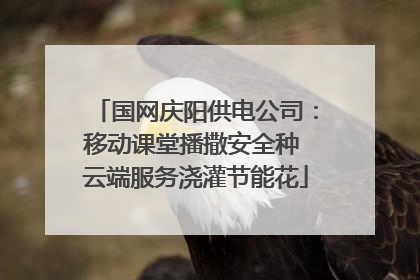 国网庆阳供电公司：移动课堂播撒安全种 云端服务浇灌节能花
