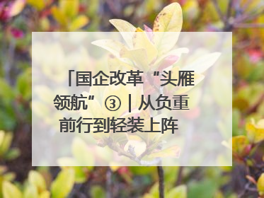 国企改革“头雁领航”③｜从负重前行到轻装上阵 重庆以“瘦身”谋“健体”