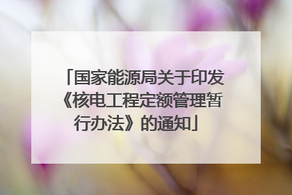 国家能源局关于印发《核电工程定额管理暂行办法》的通知