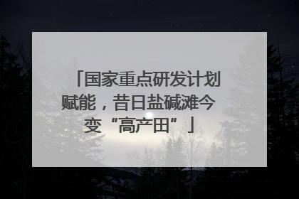 国家重点研发计划赋能，昔日盐碱滩今变“高产田”