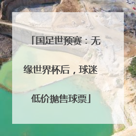 国足世预赛：无缘世界杯后，球迷低价抛售球票