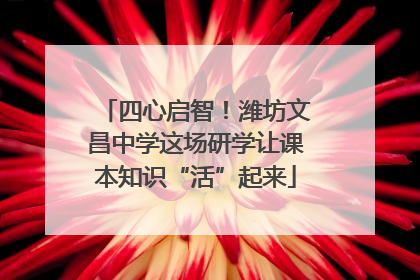 四心启智！潍坊文昌中学这场研学让课本知识“活”起来