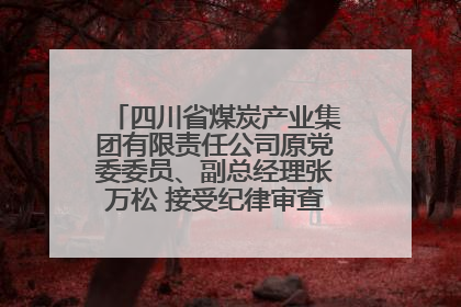 四川省煤炭产业集团有限责任公司原党委委员、副总经理张万松 接受纪律审查和监察调查