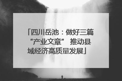四川岳池：做好三篇“产业文章” 推动县域经济高质量发展