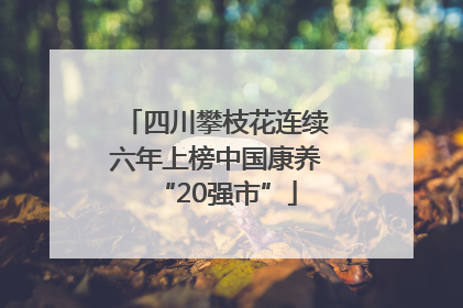 四川攀枝花连续六年上榜中国康养“20强市”