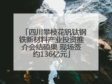 四川攀枝花钒钛钢铁新材料产业投资推介会结硕果 现场签约136亿元