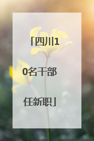 四川10名干部任新职