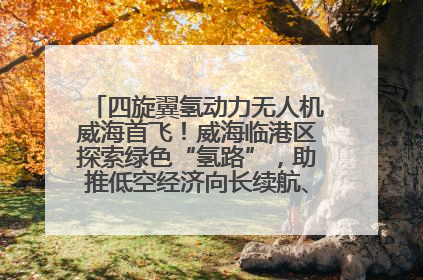 四旋翼氢动力无人机威海首飞！威海临港区探索绿色“氢路”，助推低空经济向长续航、大载重“进化”