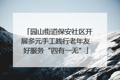 园山街道保安社区开展多元手工践行老年友好服务“四有一无”