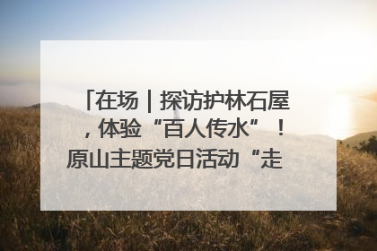 在场｜探访护林石屋，体验“百人传水”！原山主题党日活动“走新”更“走心”
