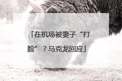 在机场被妻子“打脸”？马克龙回应