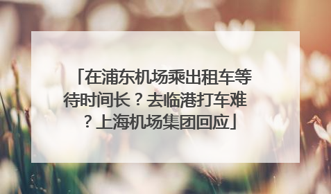 在浦东机场乘出租车等待时间长？去临港打车难？上海机场集团回应