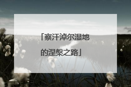 察汗淖尔湿地的涅槃之路