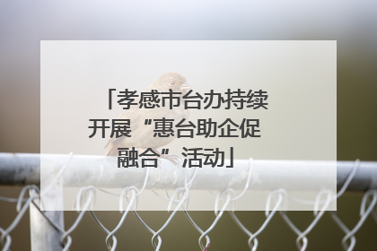 孝感市台办持续开展“惠台助企促融合”活动