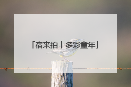 宿来拍丨多彩童年
