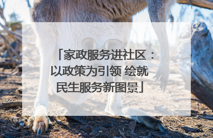 家政服务进社区：以政策为引领 绘就民生服务新图景