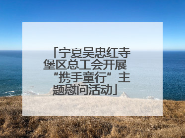 宁夏吴忠红寺堡区总工会开展“携手童行”主题慰问活动