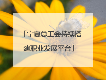 宁夏总工会持续搭建职业发展平台