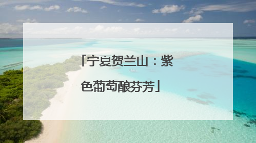 宁夏贺兰山：紫色葡萄酿芬芳