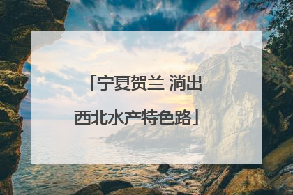 宁夏贺兰 淌出西北水产特色路