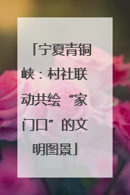 宁夏青铜峡：村社联动共绘“家门口”的文明图景