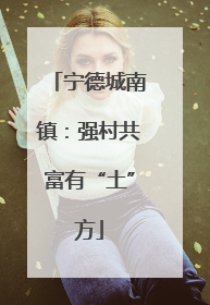 宁德城南镇：强村共富有“土”方