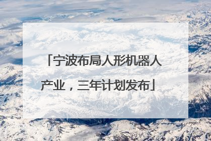 宁波布局人形机器人产业，三年计划发布