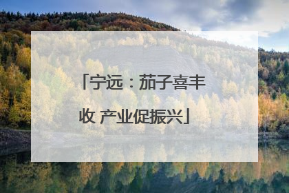 宁远：茄子喜丰收 产业促振兴