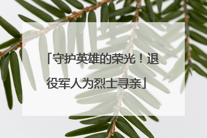 守护英雄的荣光！退役军人为烈士寻亲