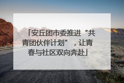 安丘团市委推进“共青团伙伴计划”，让青春与社区双向奔赴
