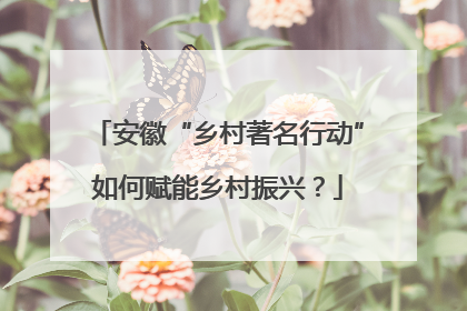 安徽“乡村著名行动”如何赋能乡村振兴？