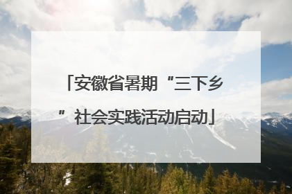 安徽省暑期“三下乡”社会实践活动启动