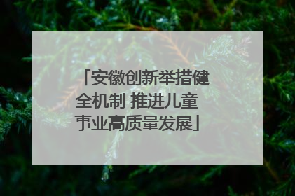安徽创新举措健全机制 推进儿童事业高质量发展