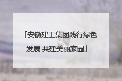 安徽建工集团践行绿色发展 共建美丽家园