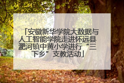安徽新华学院大数据与人工智能学院走进怀远县淝河镇中黄小学进行“三下乡”支教活动