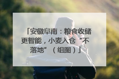 安徽阜南：粮食收储更智能，小麦入仓“不落地”（组图）
