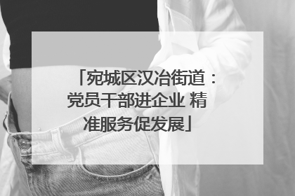 宛城区汉冶街道：党员干部进企业 精准服务促发展