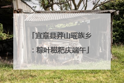 宜章县莽山瑶族乡：粽叶糍粑庆端午