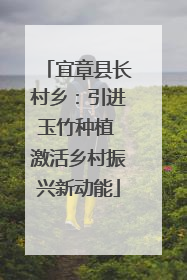 宜章县长村乡：引进玉竹种植 激活乡村振兴新动能