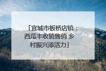 宜城市板桥店镇：西瓜丰收销售俏 乡村振兴添活力